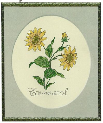 Kit broderie tournesol- Anagram